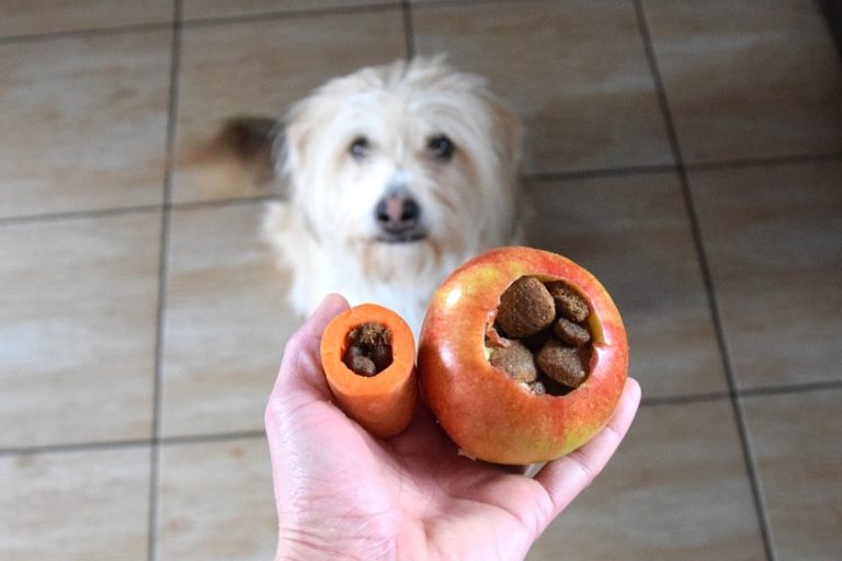 Warzywno-owocowy “kong” dla psa. Prosty przepis na jadalną zabawkę.