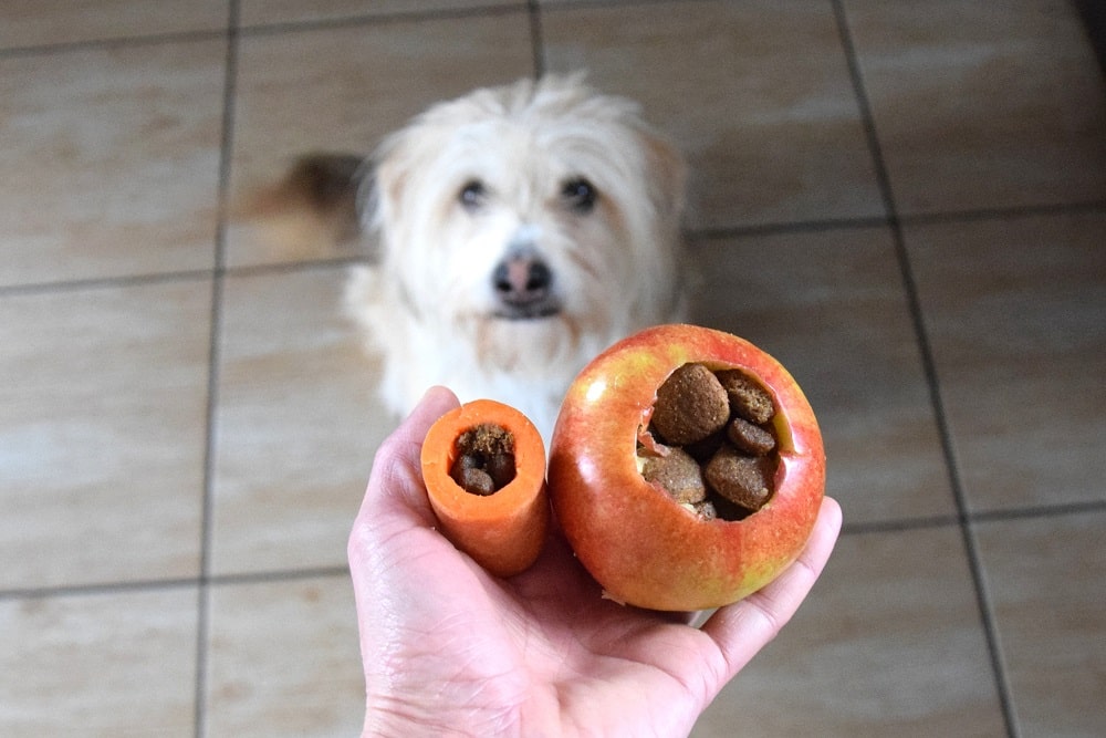 KryKas - Warzywno-owocowy kong dla psa. Prosty przepis na jadalną zabawkę.