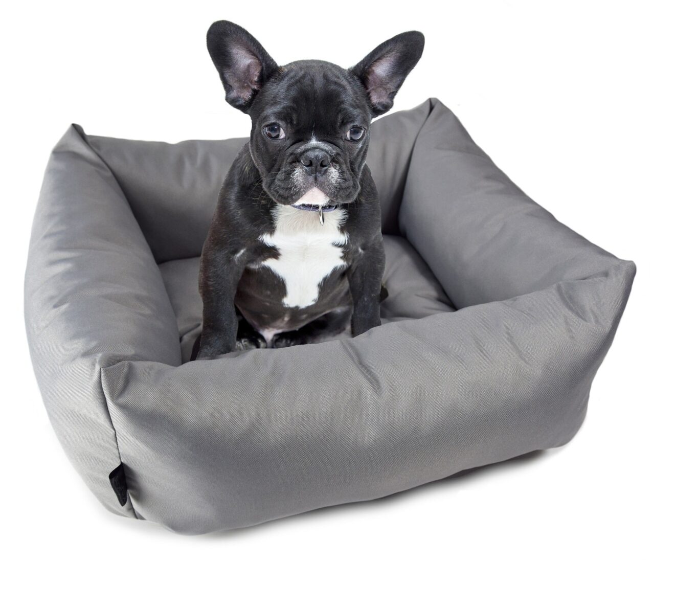 KryKas - fotelik samochodowy dla psa Silver Line z aportem- kolor szary