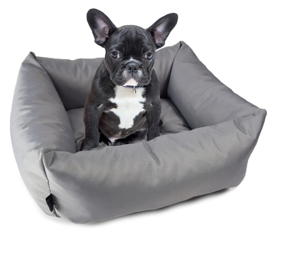 KryKas - fotelik samochodowy dla psa Silver Line z aportem- kolor szary