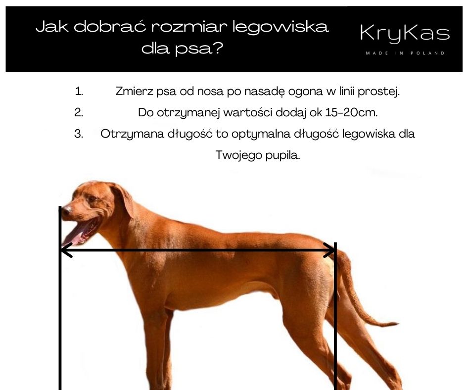 Jak dobrać rozmiar legowiska dla psa? - poradnik jak zmierzyć długość psa